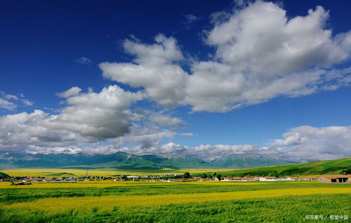 西宁旅行社联系电话号码是多少号